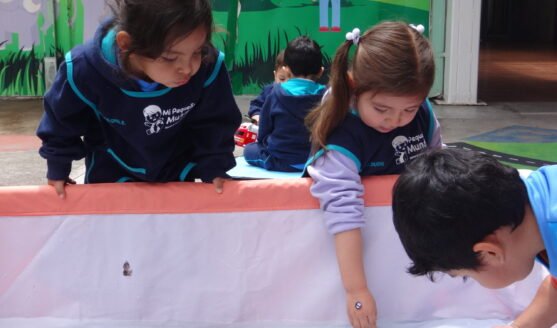 La Educación Inicial a Través del Juego en Mi Pequeño Mundo