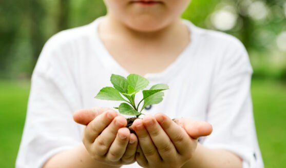 Salida de Observación